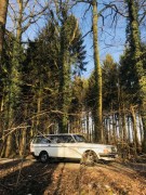 Volvo 240 im Wald 02.02.18